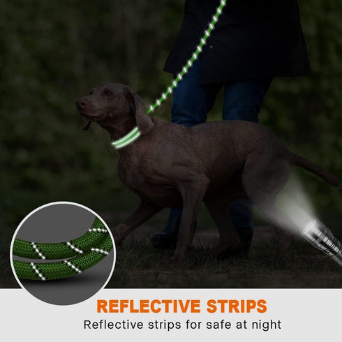 Taglory Rope Dog Leash 6 FT with Padded Handle, Highly Reflective Threads for Medium Large Dogs, 1/2 inch, Green