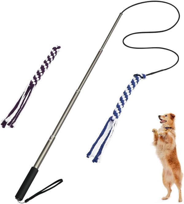 POPETPOP Flirt Pole for Dogs, Interactive Teaser Wand with 2 Rope Chew Toys for Training and Exercise (Size L)