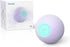 Cheerble Smart Interactive Dog Toy - Wicked Ball, Automatic Moving Bouncing Ball for Medium Large Dogs