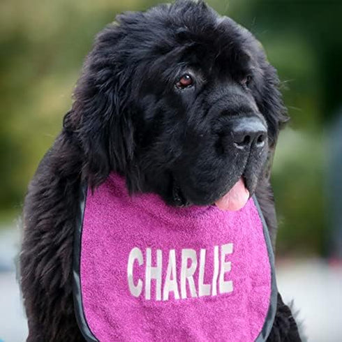 Customizable Dog Bib with Name - Stylish & Waterproof
