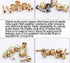 YBEKI 2500mm Kevlar Teflon Hydraulic Disc Brake Hose Kit with Brass Fittings, Compatible with Shimano SRAM