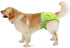 (Pack 4), Teamoy Reusable Female Dog Diapers with Inserts of Doggie Diaper Liners Period Pants for Dogs in Heat