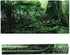 TOPINCN 3D Effect Rainforest Poster Self-Adhesive PVC Aquarium Fish Backdrop Mural Decorative Reptile Terrarium