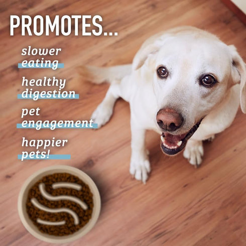 Leashboss Dog Bowl Slow Feeder, Maze Food Bowl Compatible with Raised Pet Feeders, 1.5 Cup, Blue