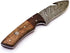 Rare Custom Damascus Fuller Gut Hook Knife, Skinning Knife, Hunting Knife, Outdoor Knife, Camping Knife, Color Wood
