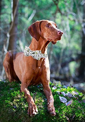 ARING PET Bowtie Dog Collar, Adjustable Collar with Bow for Small Medium Large Dogs