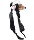 Lil' Stinker Dog Costume, Black/White, Small (fits lengths up to 12")