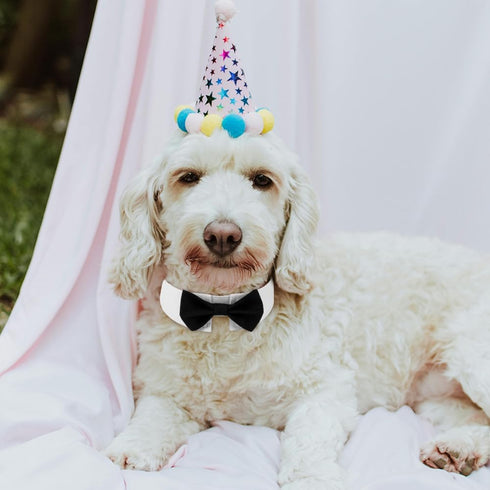 Elegant Dog Bow Tie, Adjustable White Collar Tuxedo Bowtie for Formal Pets, Perfect for Weddings and Birthdays