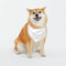 Custom Pet Scarf Dogs Bandana, Add Your Pet Photo Name, Triangle Scarf