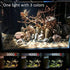 LED Aquarium Light for Freshwater Fish Tank - Vivarium Terrarium Spotlight with 3 Colors 3000K, 4000K, 6000K for