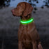 BSEEN Reflective LED Dog Collar - Light Up Dog Collars for Safe Walking at Night - Rechargeable for Dogs, Neon Green,