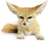 Wallmonkeys WM351973 Fennec Fox Peel and Stick Wall Decals, 18" W x 12" H, Small