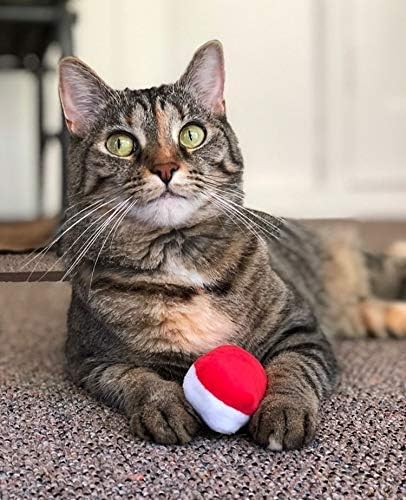 munchiecat Sushi Catnip Toy for Cats, USA Made, Engaging Design for Pouncing and Play, 4-Pc Rainbow
