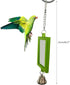 Tnyvm 1Pc Random Color Pet Bird Mirror with Bell Interactive Parrot Toys for Budgies Parakeets Conures, Pet Supplies