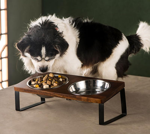 Ceramic Pet Bowl Set with Non-Slip Wood Stand - Double Bowls for Cats, Dogs, and Puppies, 8 oz Each Bowl (5.5",