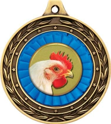 3" Chicken Gold Duo Medal, Chicken Prizes, Kids Chicken Trophy Medal Awards Prime