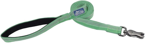 Coastal K-9 Explorer Brights Reflective Dog Leash, Meadow, 5/8" x 6'