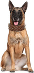 Studded Leather Dog Collar for Medium Large Dogs, Pitbull Doberman (M: 17-20 inch, Brown)