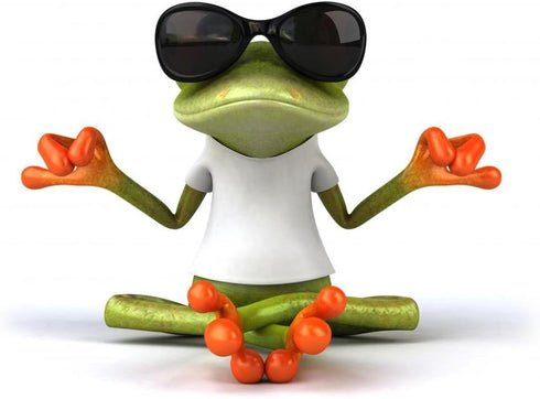 Wallmonkeys WM362920 Frog with White T-shirt Peel and Stick Wall Decals, 18" W x 12" H