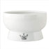 Necoichi Raised Cat Water Bowl, Elevated with Measurement Lines, Dishwasher & Microwave Safe, Jelly Bean, Regular