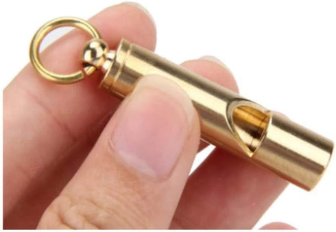 FUTURESTEPS Set 105 Brass Compass with Solid Brass Whistle - Survival - Decibels - Carry in Pocket or on Necklace - Two