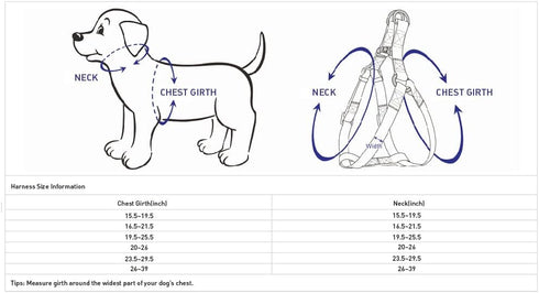 Blueberry Pet Soft & Comfy 3M Reflective Step-in Dog Harness, Baby Pink, Small, Chest Girth 15.5" - 19.5", Adjustable