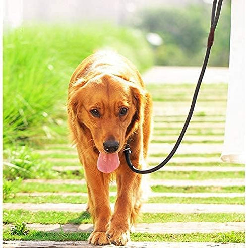 Rope Slip Lead Dog Leash | Heavy Duty 1/2” by 5ft Solid Colors | 7+ Climbing Nylon Round Training Leash for Medium Large