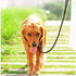Rope Slip Lead Dog Leash | Heavy Duty 1/2” by 5ft Solid Colors | 7+ Climbing Nylon Round Training Leash for Medium Large