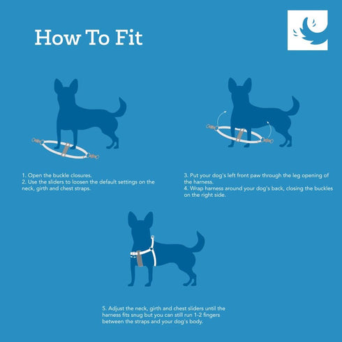 Stylish Step-In Harness for Pets - Comfortable & Secure Fit (Petite-XX-Small, Black)