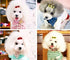 20Pcs Dog Hair Clips - Heart Sunglass Pet Hair Bows, Multicolor Alligator Hairpins for Small Animals