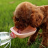 Dog Water Bowl for Long Walks, Travel, Camping, Portable Leak Proof Dispenser for Dogs and Cats, Green