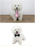 4 Pieces Adjustable Bowtie Pet Costume for Dogs and Cats, Formal Necktie Collar Grooming Accessories (Red/Heart)