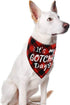 2 Pack It’s My Gotcha Day Print Dog Birthday Bandana - Red and Blue Scarf Bibs Accessories for Pet Birthday Gift
