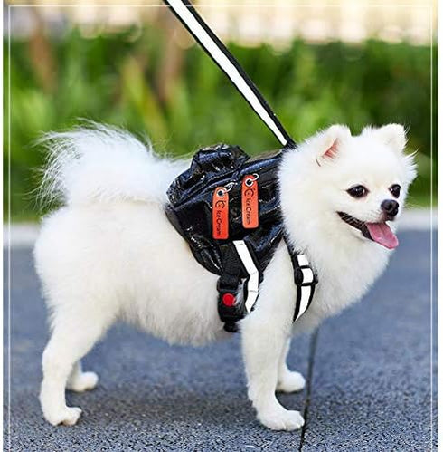 Dog Backpack Harness with Leash | Adjustable Dog Pack with Reflective Strips for Night Safe Outdoor Travel | Small