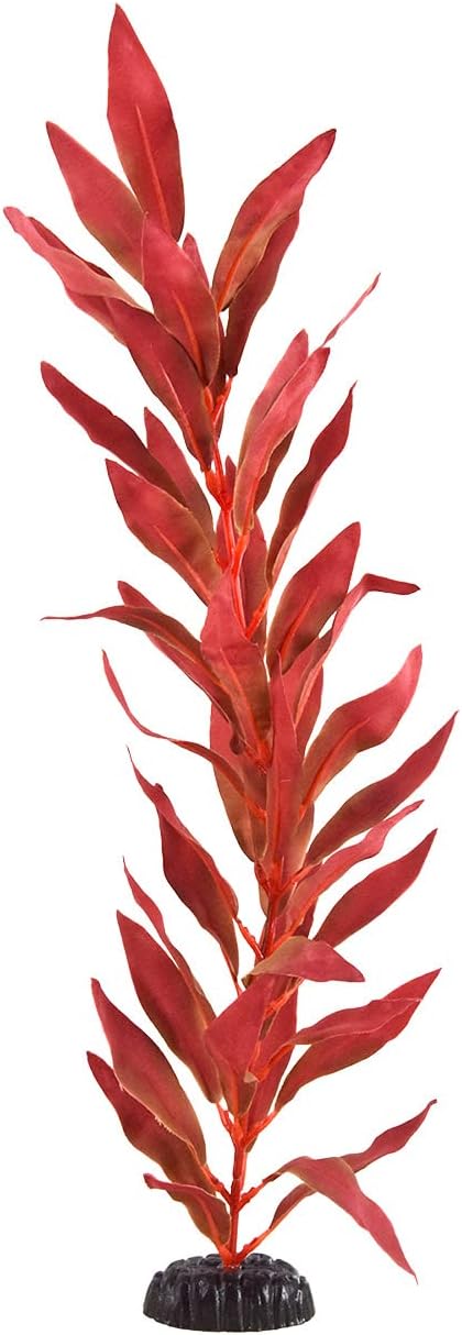 Underwater Treasures Silk Red Hygro, 20"