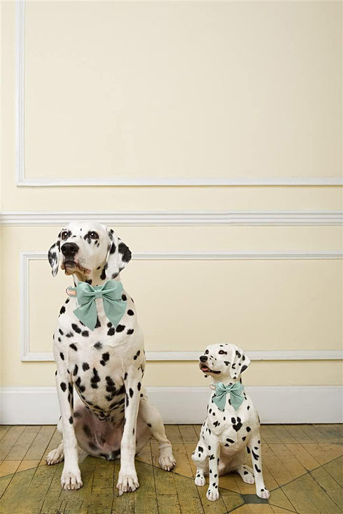 Unique Style Paws Silk Green Dog Collar, Adjustable Durable Collar with Bowtie for Medium Dogs