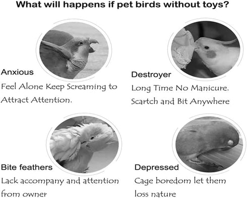Finch Colorful Bird Xylophone Toy Interactive Training Toy Bird Cage Bell Toy Accessories Music Musical Enrichment