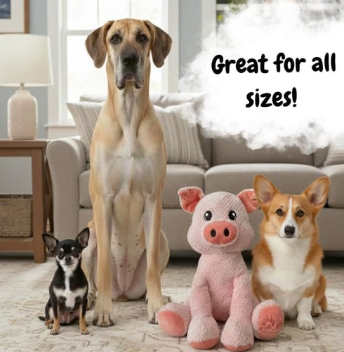 NOZES & TOZES Plush Pig Dog Toy | Dog stuffies for Large Dogs Dog Enrichment Toys for Large Dogs | Dog Toys Without