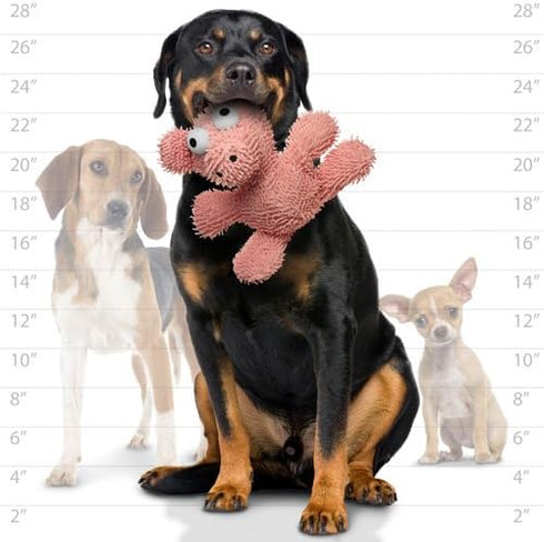 MIGHTY- Microfiber Ball Pig, Interactive Play Dog Toy, Made with Squeaker Balls, Minimal Stuffing, Machine Washable