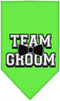Mirage Pet Products Team Groom Screen Print Bandana, Large, Lime Green