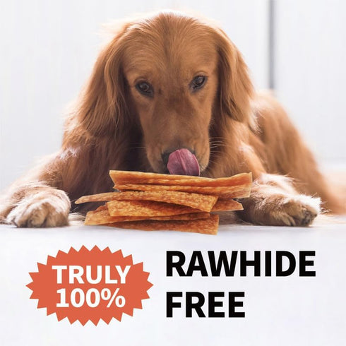Chicken Dog Chew Chips, Puffed Human Grade Chicken Treat, Rawhide Alternative, 12pcs/Pack