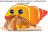 Awesome Aquatic 4 Pack 4 Natural Jumbo Hermit Crab Sponges Natural Sea Sponge Maintains Providing Humidity Helps