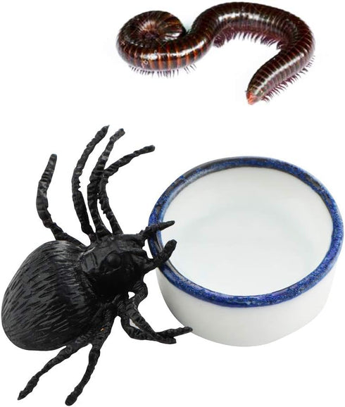 6 Pcs Mini Ceramic Water Bowl for Spider, Tarantula, Millipede, Tiny Reptile (Small: 0.86" D, 0.43" H)