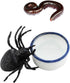 6 Pcs Mini Ceramic Water Bowl for Spider, Tarantula, Millipede, Tiny Reptile (Small: 0.86" D, 0.43" H)