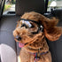 Nacoco Dog Sunglasses Anti-UV Waterproof Goggles for Big Dogs like Golden Retriever and Samoyed
