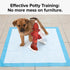 20Pcs 7.3 3.9in Dog Pee Post Guide Paper Pee Trainer, Hydrant Shaped Pet Diaper Pad Guide for Small Dogs, Puppies Dogs