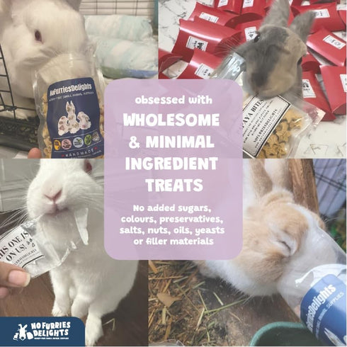 Mix,100% Chinchilla 30g) Forage All Natural Botanical Herb Treat for Rabbit Hamster Guinea Pig Chicken Gerbil Degu