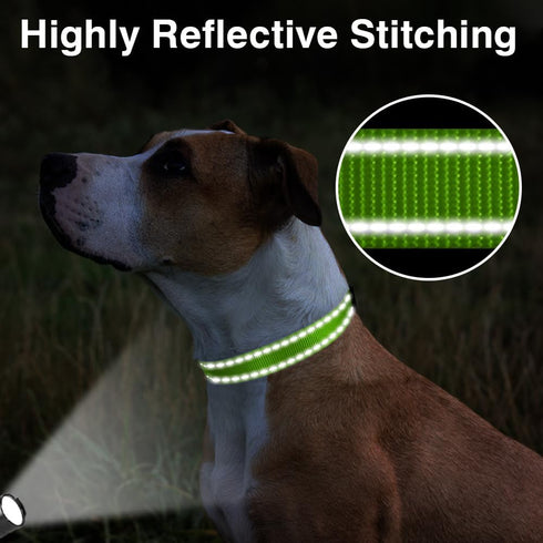 Taglory Reflective Adjustable Dog Collars for Puppy Small Medium Large Dogs with Quick Release Plastic Buckle (Green,