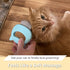 Leo's Paw The Original Soft Deshedding Brush, Massaging Shell Comb for Grooming Long and Short Hair Cat Dog Bunny (Mint)