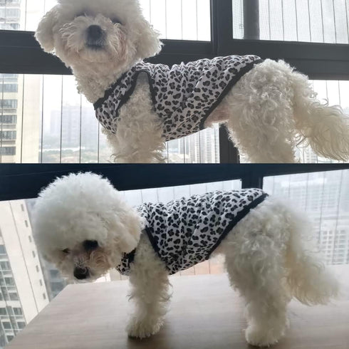 Pet Clothes, Leopard Print T-Shirt Puppy Cat Cotton Vest Clothing Apparel Spring Summer Breathable Sleeveless Harness Costumes for Small Dogs(S, Black)